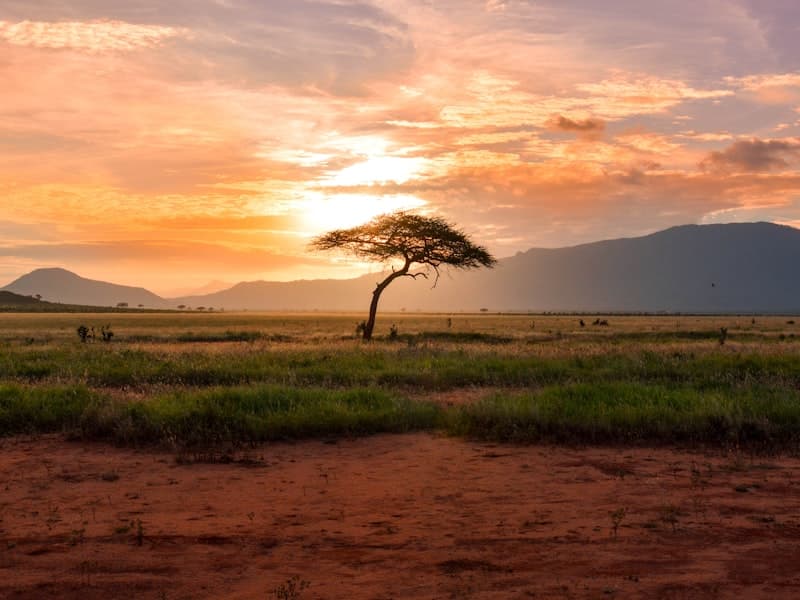 Naivasha, Kenya